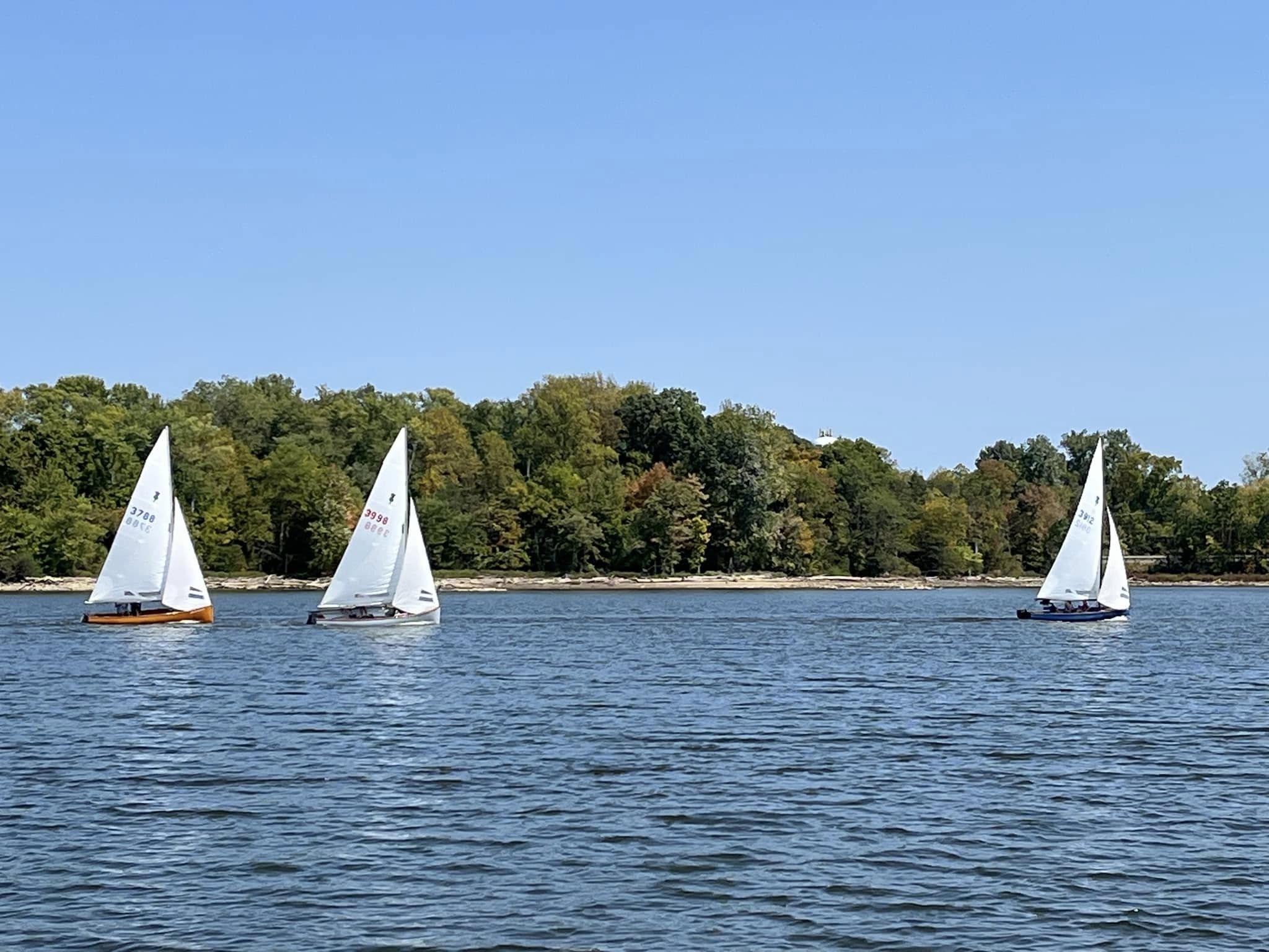Three dinghies racing on a flat-calm blue day at Leatherlips YC.